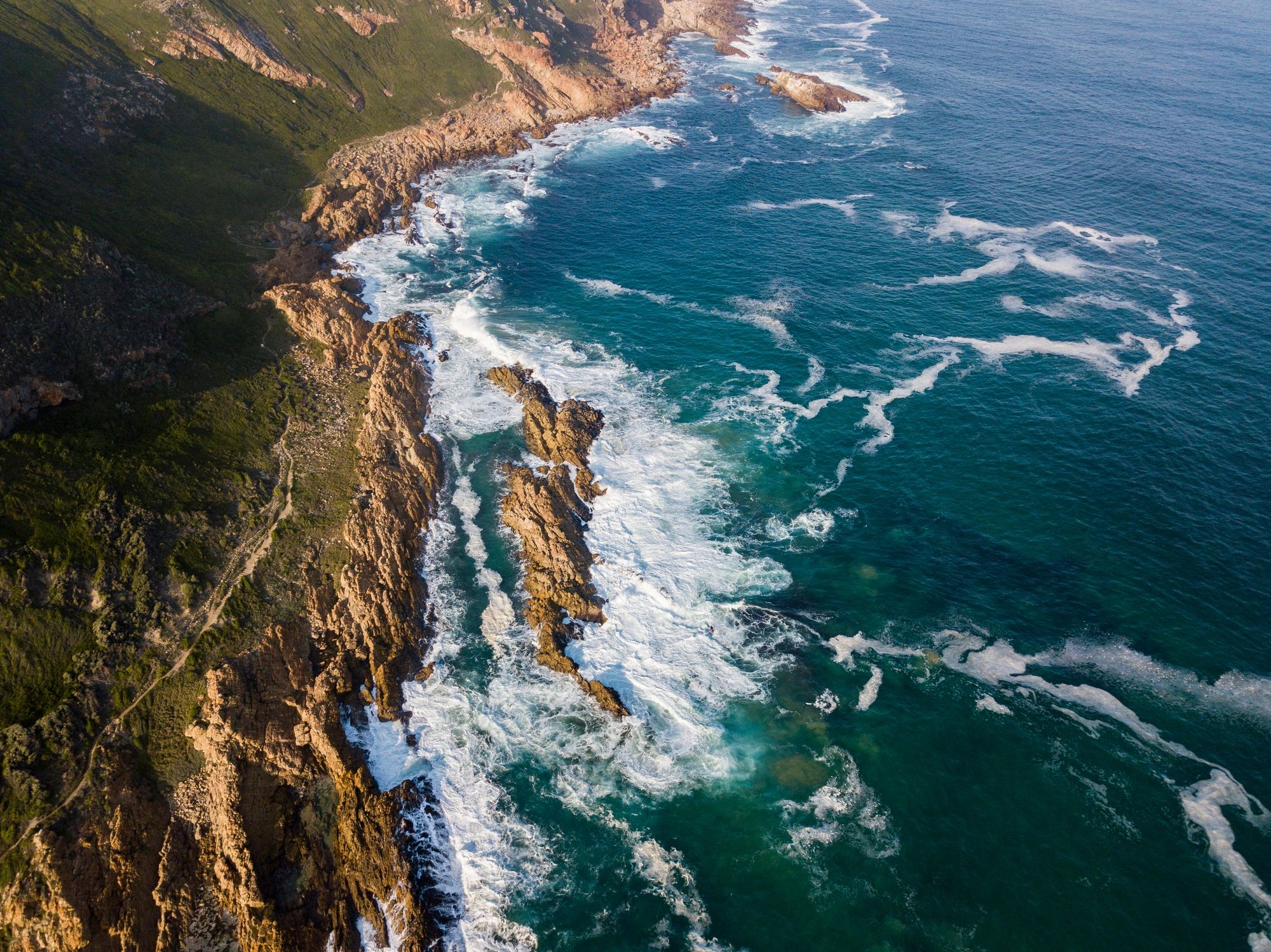 Private Kreuzfahrtausflüge in Südafrika: So erleben Sie Ihren Hafenstopp entspannt und persönlich