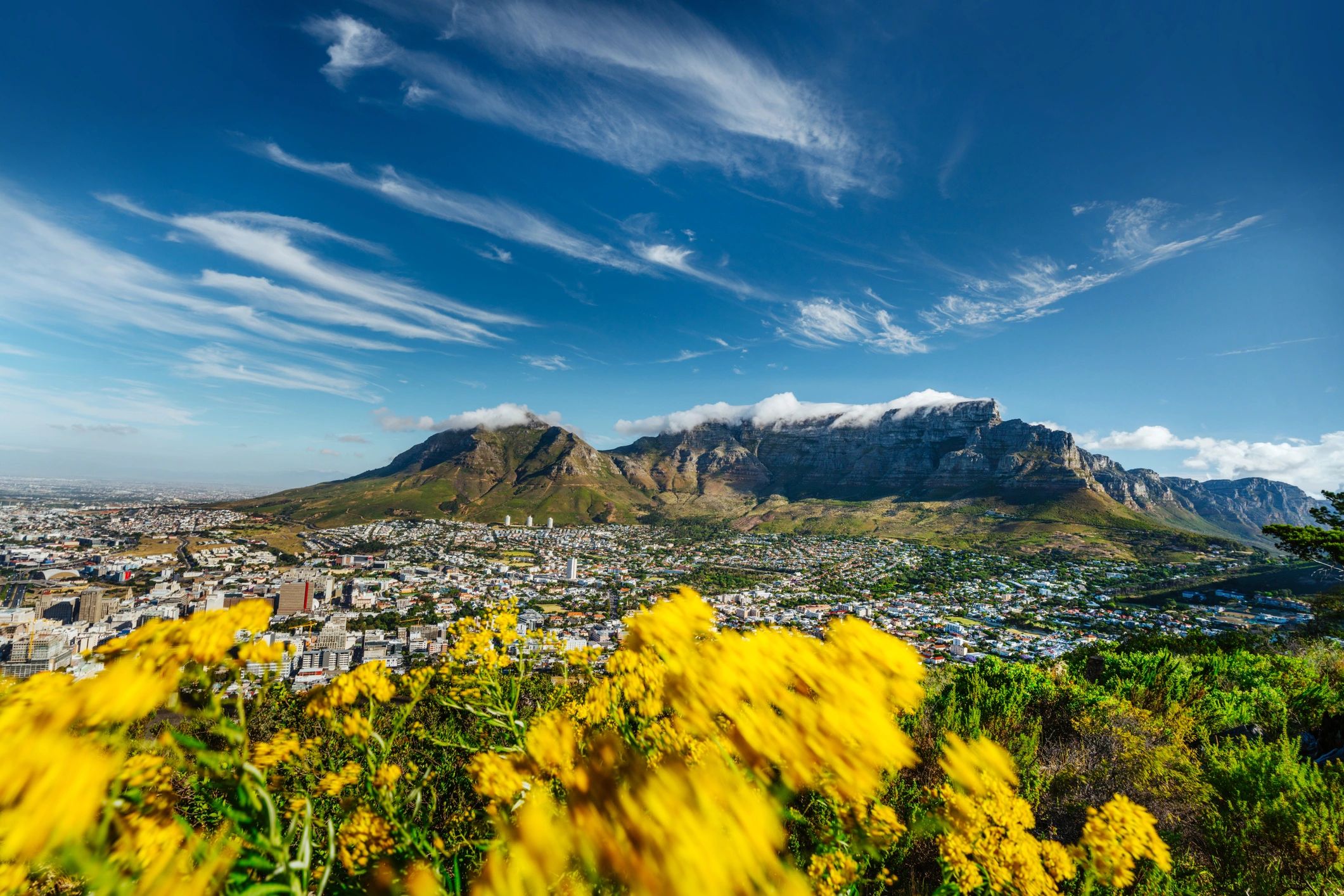 Weite Aussicht über Küste und Stadt für individuelle Durban Touren